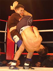armlocks